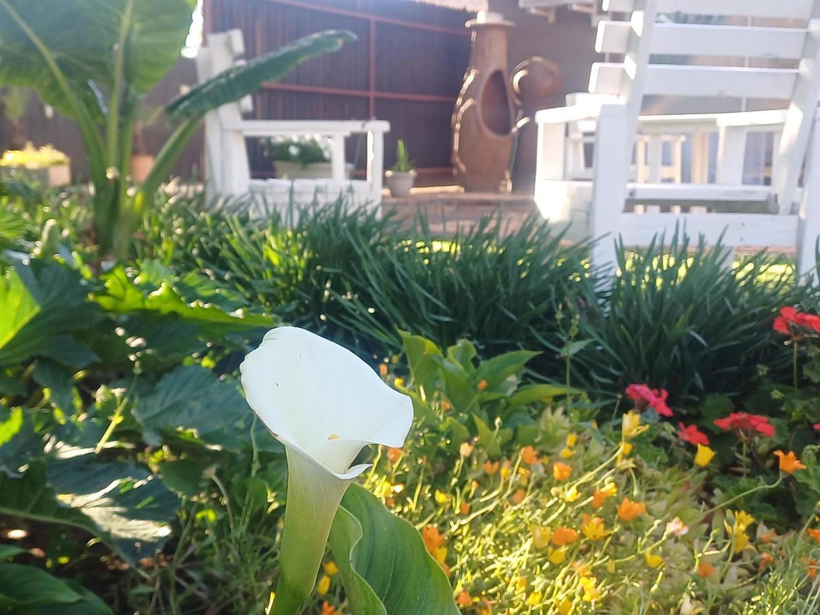 Ceelee'S Place Bloemfontein Bagian luar foto