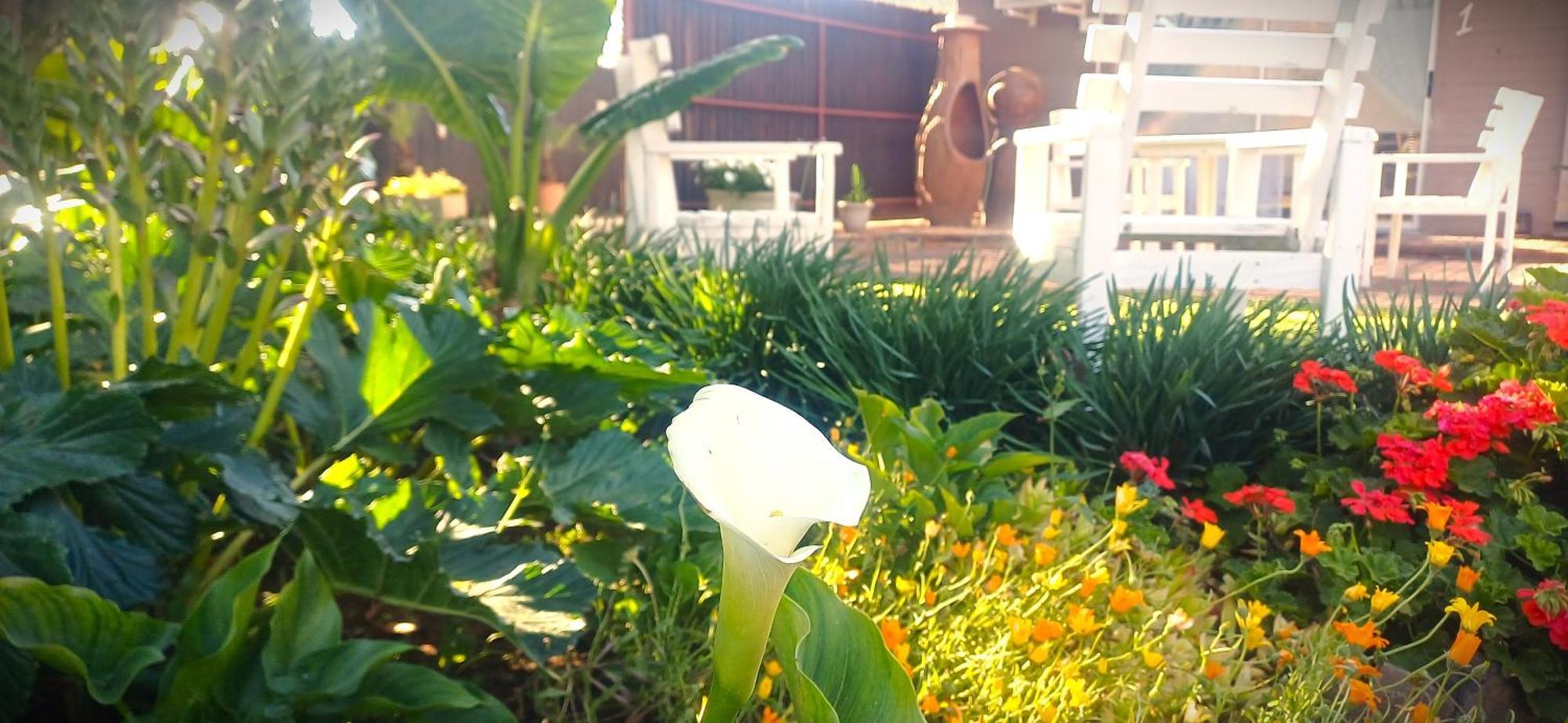 Ceelee'S Place Bloemfontein Bagian luar foto